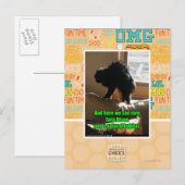 De Bizon van de bank Briefkaart (Voorkant / Achterkant)