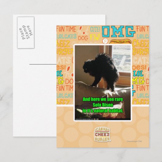 De Bizon van de bank Briefkaart (Voorkant / Achterkant)