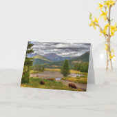 De Bizon van Yellowstone Kaart (Gele Bloem)