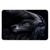 De Black Premium Flexi Magnet Magneet (Horizontaal)