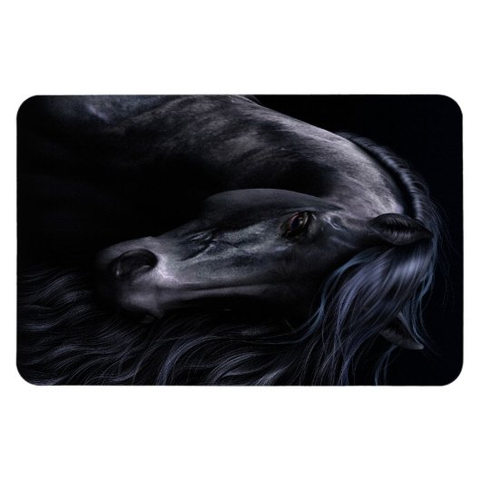 De Black Premium Flexi Magnet Magneet (Horizontaal)