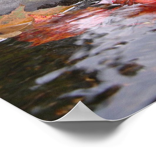 De bladeren poster (Hoek)