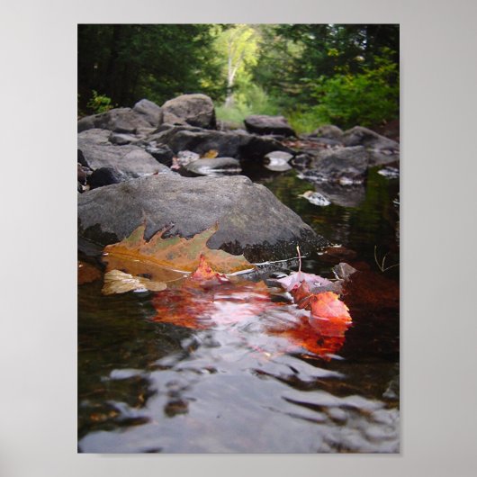 De bladeren poster (Voorkant)