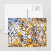 De Bladeren van de herfst Briefkaart (Voorkant / Achterkant)