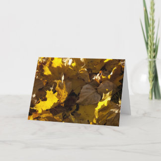 De Bladeren van de herfst - Kaart