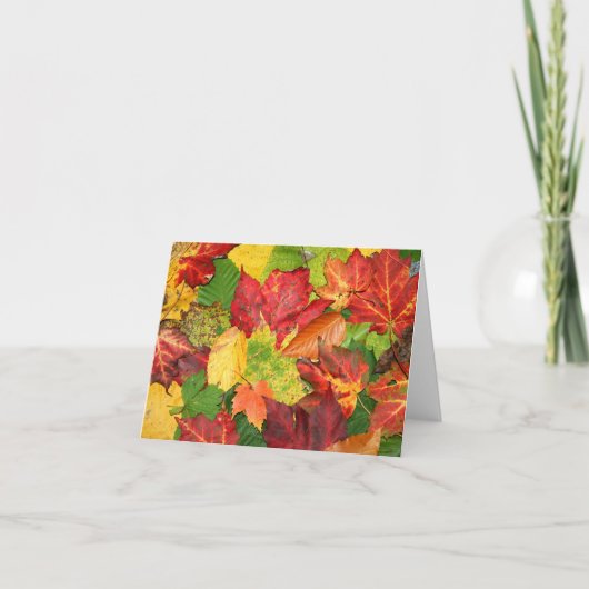 De bladeren van de herfst kaart (Voorkant)