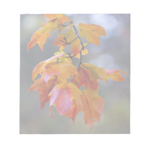 De Bladeren van de herfst Notitieblok