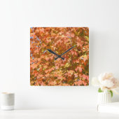 De Bladeren van de herfst op een Landschap van de Vierkante Klok (Huis)