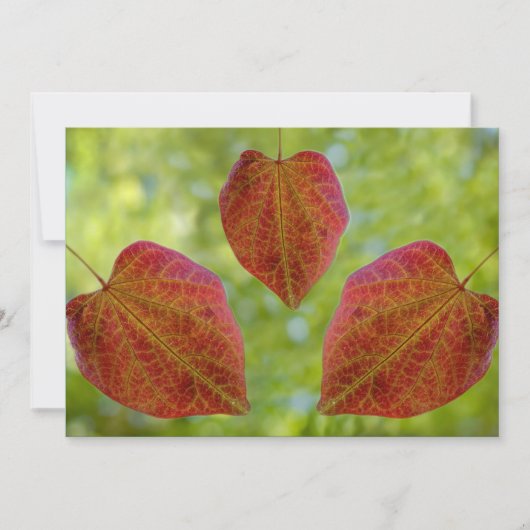 De bladeren van de liefde van natuur bedankkaart (Voorkant)