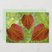 De bladeren van de liefde van natuur bedankkaart (Voorkant / Achterkant)