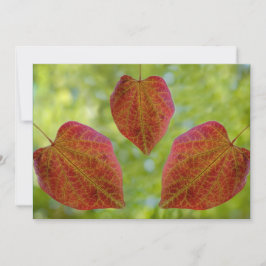 De bladeren van de liefde van natuur bedankkaart