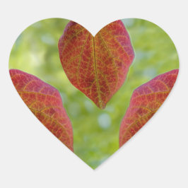 De bladeren van de liefde van natuur hart sticker