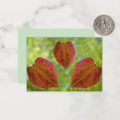 De bladeren van de liefde van natuur notitiekaartje (Voorkant / Achterkant in situ)