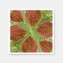 De bladeren van de liefde van natuur