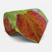 De bladeren van de liefde van natuur stropdas (Opgerold)