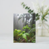De Bladeren van het regenwoud met het Briefkaart (Staand voorkant)