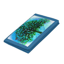De blauwdruk