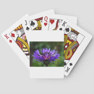 De blauwe Bloem van de Korenbloem komt het Lot van Pokerkaarten