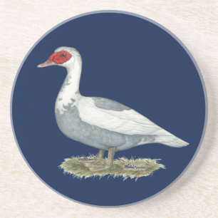 De Blauwe Bonte Eend van Muscovy Zandsteen Onderzetter