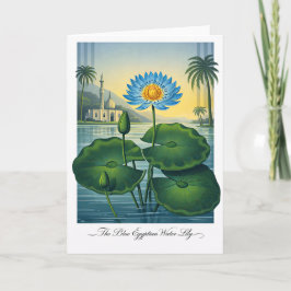 De Blauwe Egyptische Waterlelie — Moderne Botanisc Kaart