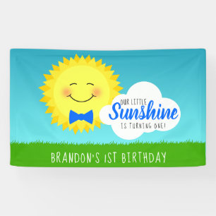 De blauwe en Gele Partij van de Verjaardag van de Spandoek