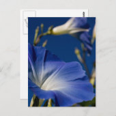 De blauwe Glorie van de Ochtend Briefkaart (Voorkant / Achterkant)