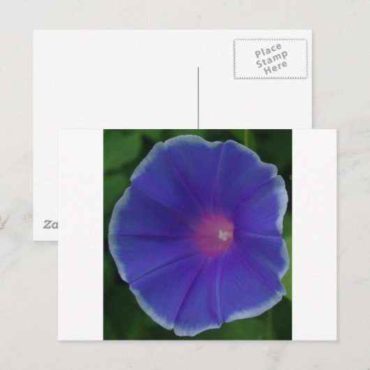 DE BLAUWE GLORIE VAN DE OCHTEND BRIEFKAART (Voorkant / Achterkant)