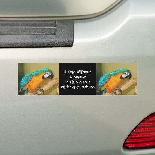 De blauwe Gouden Sticker van de Bumper van de Pape (Op auto)