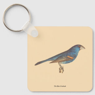 De blauwe grosbeak, James de Kay's New York Birds Sleutelhanger