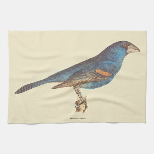 De blauwe grosbeak, James de Kay's New York Birds Theedoek