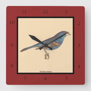 De blauwe grosbeak, James de Kay's New York Birds Vierkante Klok
