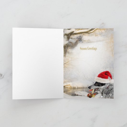 De blauwe Heeler kaarten van de de winterScène (Binnen)