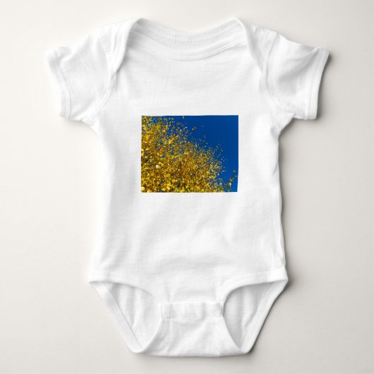 De Blauwe Hemel van de herfst Romper (Voorkant)