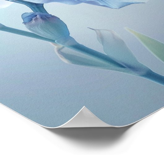 De blauwe iris: een fluistering van elegantie poster (Hoek)