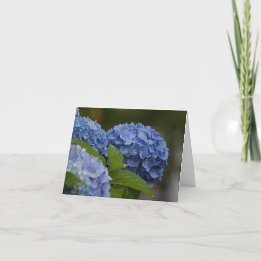 De blauwe Kaart van de Nota van de Hydrangea (Voorkant)