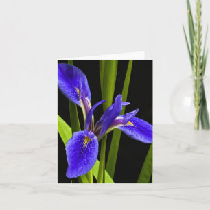De blauwe Kaart van de Nota van de Iris Lege