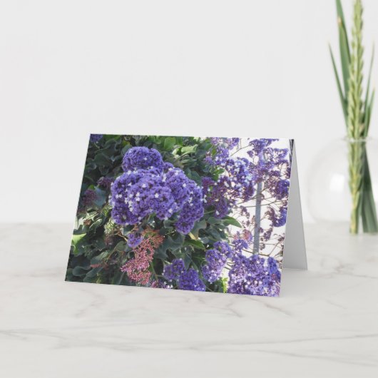 De blauwe Kaart van de Verjaardag van de Sterren (Voorkant)