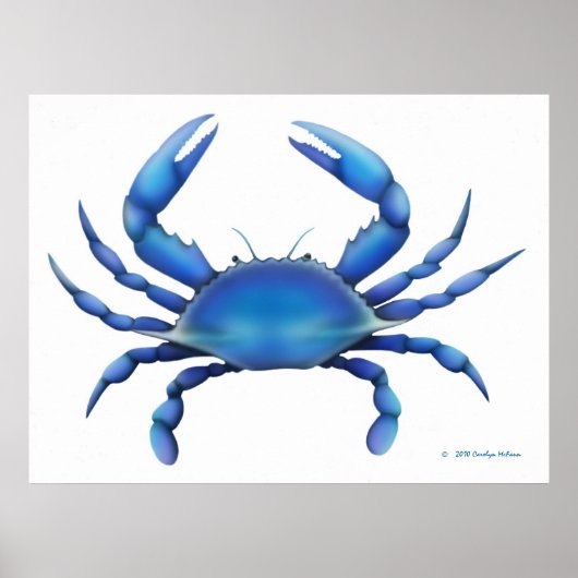 De blauwe krab afdrukken poster (Voorkant)