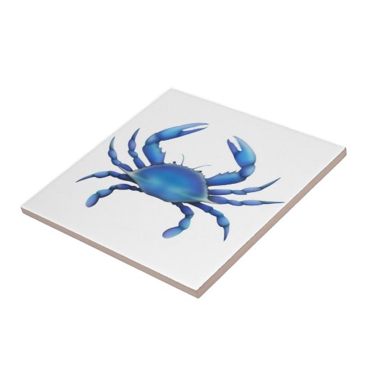 De blauwe krab-tegel tegeltje (Zijkant)