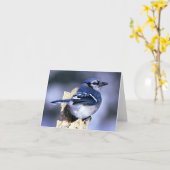 De blauwe Minnaars van de Vogel van de Vlaamse Kaart (Gele Bloem)