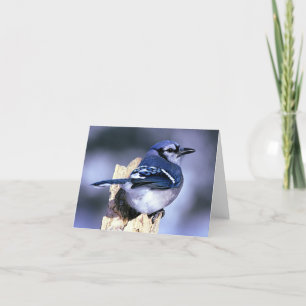 De blauwe Minnaars van de Vogel van de Vlaamse Kaart
