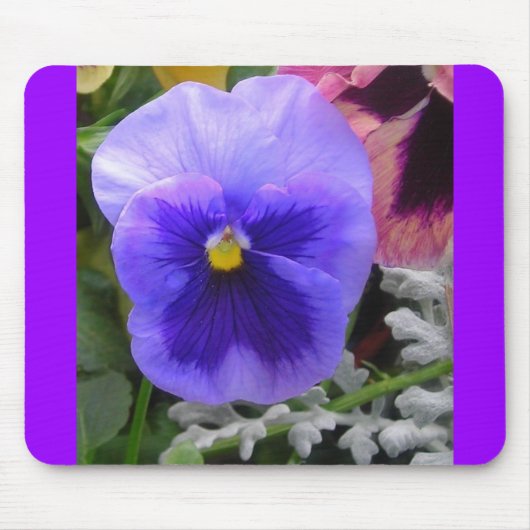 De Blauwe Pansy Muismat (Voorkant)