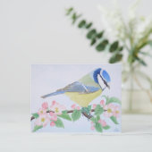 De blauwe pas in het voorjaar briefkaart (Staand voorkant)