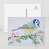 De blauwe pas in het voorjaar briefkaart (Voorkant / Achterkant)