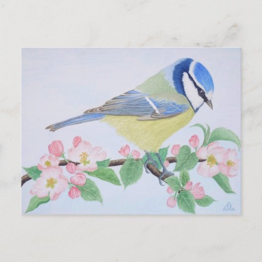 De blauwe pas in het voorjaar briefkaart (Voorkant)