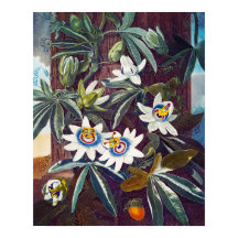 De blauwe passiesbloem