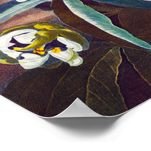 De blauwe passiesbloem poster (Hoek)