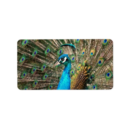 De blauwe pauw etiket (Voorkant)