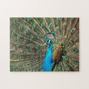 De blauwe pauw legpuzzel