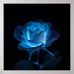 De Blauwe Roos Bioluminescente Bloem op Zwart Poster